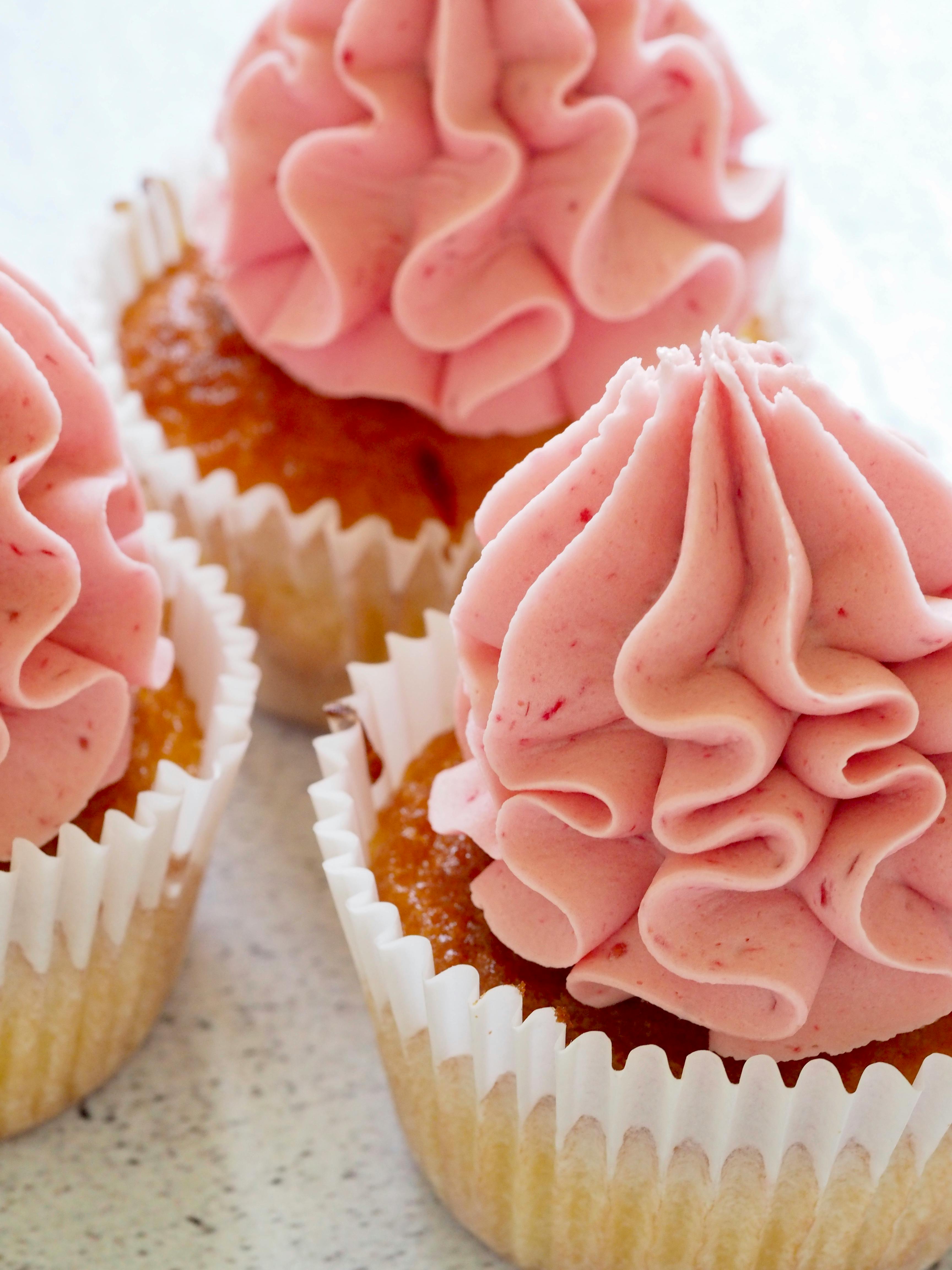 cupcake04.jpg Image