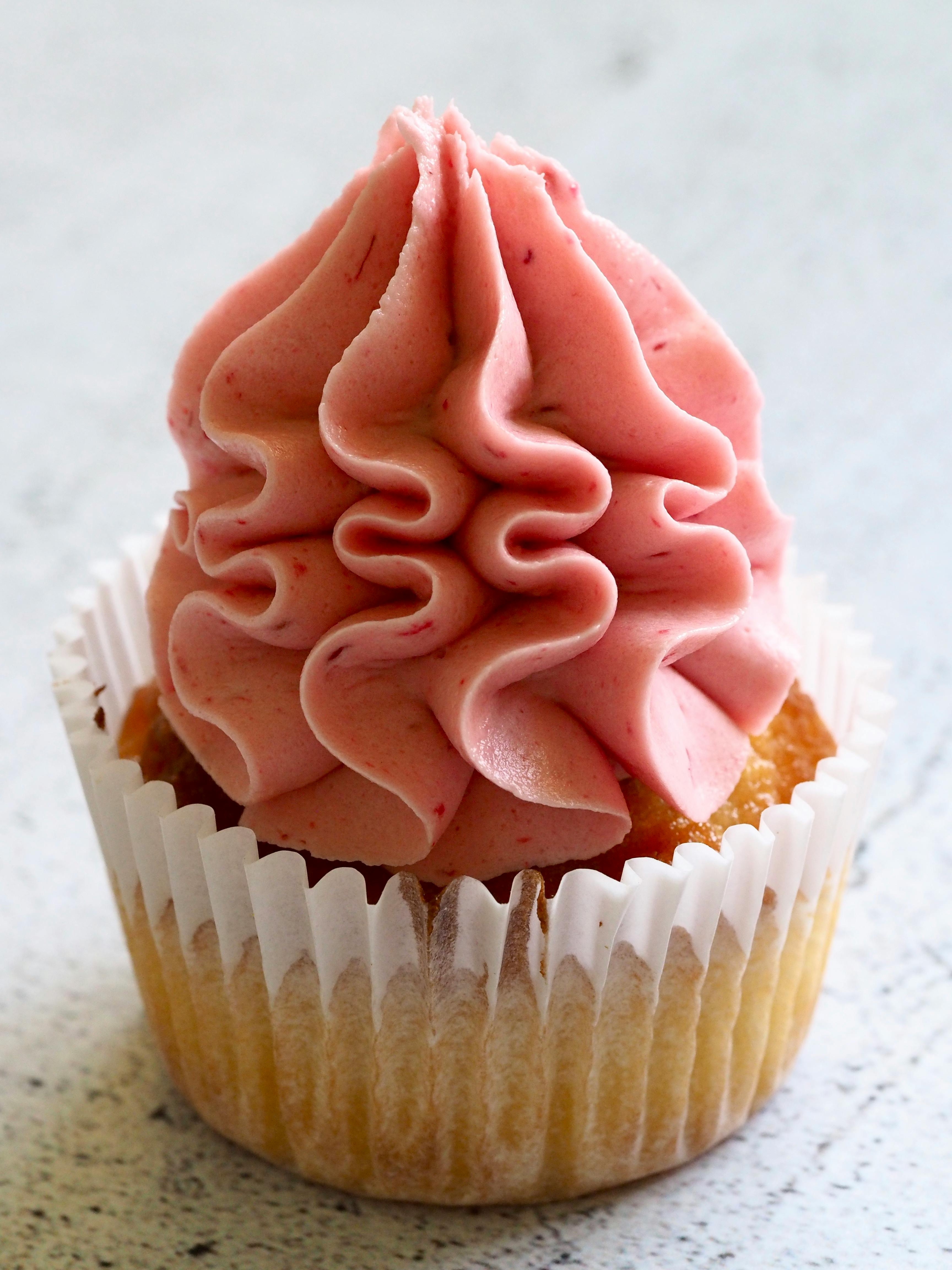 cupcake05.jpg Image